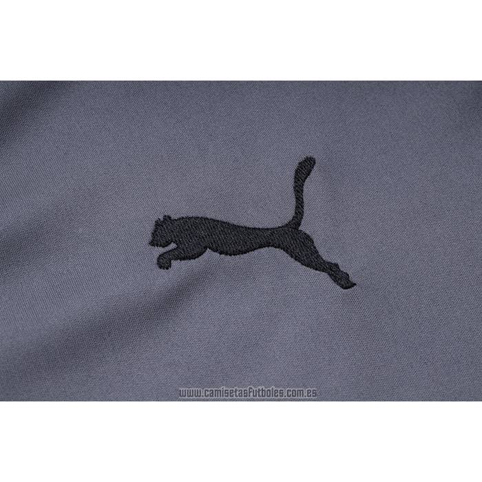 Camiseta Polo del Borussia Dortmund 2023-2024 Gris